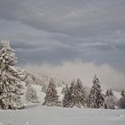 Kurzer Winter in der Rhön