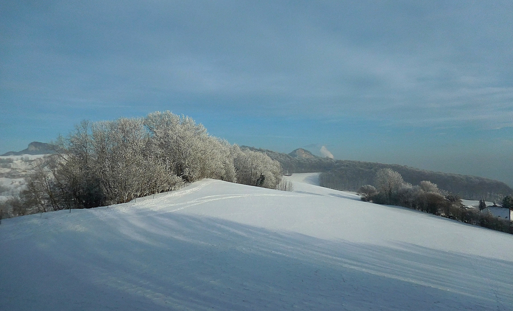 kurzer Wintertag