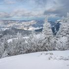 Kurzes Nebelfenster