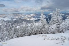 Kurzes Nebelfenster