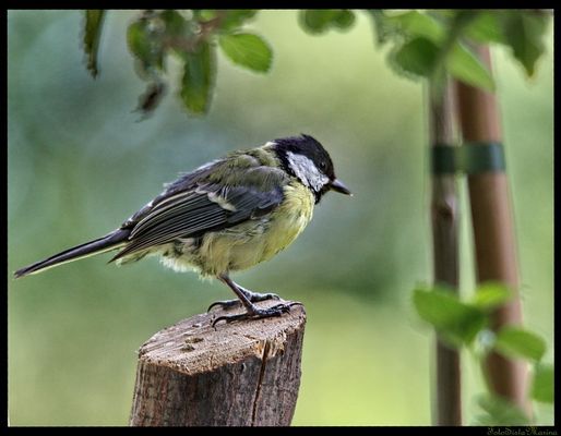 Kurzes Verschnaufspäuschen*