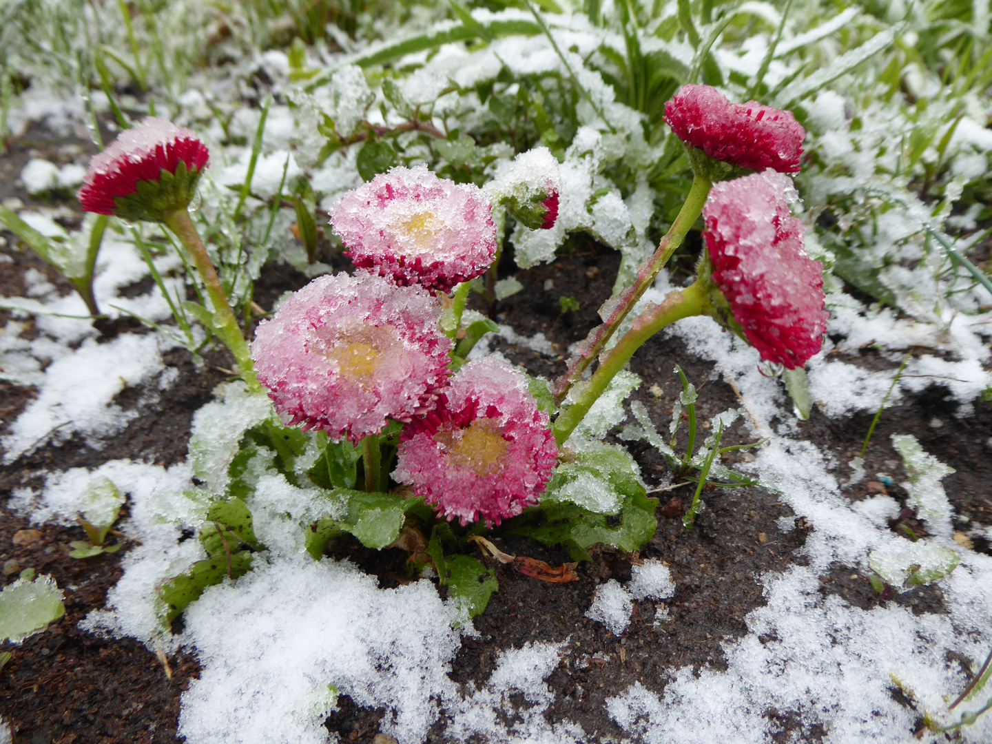 kurzes Winterintermezzo heute morgen