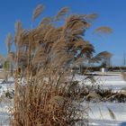 Kurzfristige Winterstimmung im Neulandpark von Leverkusen