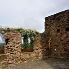 Kurzurlaub 2021 an der Mosel - Alte Ruinenreste des alten Wohnturms der Ehrenburg