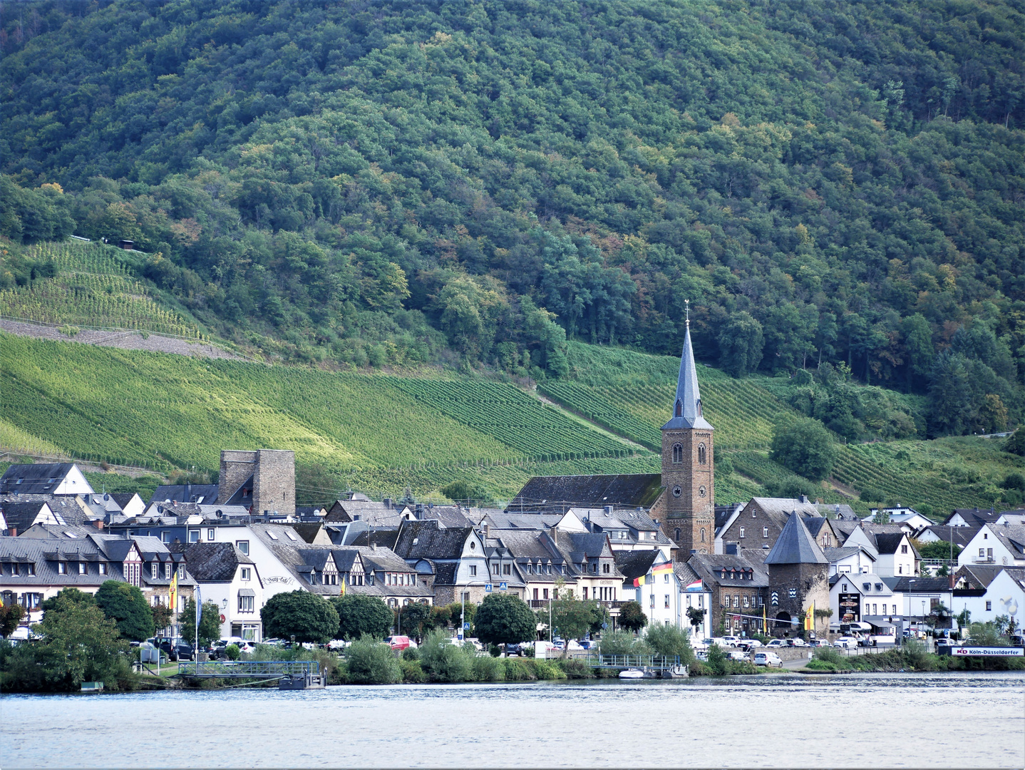 Kurzurlaub 2021 an der Mosel - Schiffsausflug nach Koblenz: Blick auf Alken