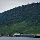 Kurzurlaub 2021 an der Mosel - Schiffsausflug nach Koblenz: Schleuse an der Staustufe Lehmen