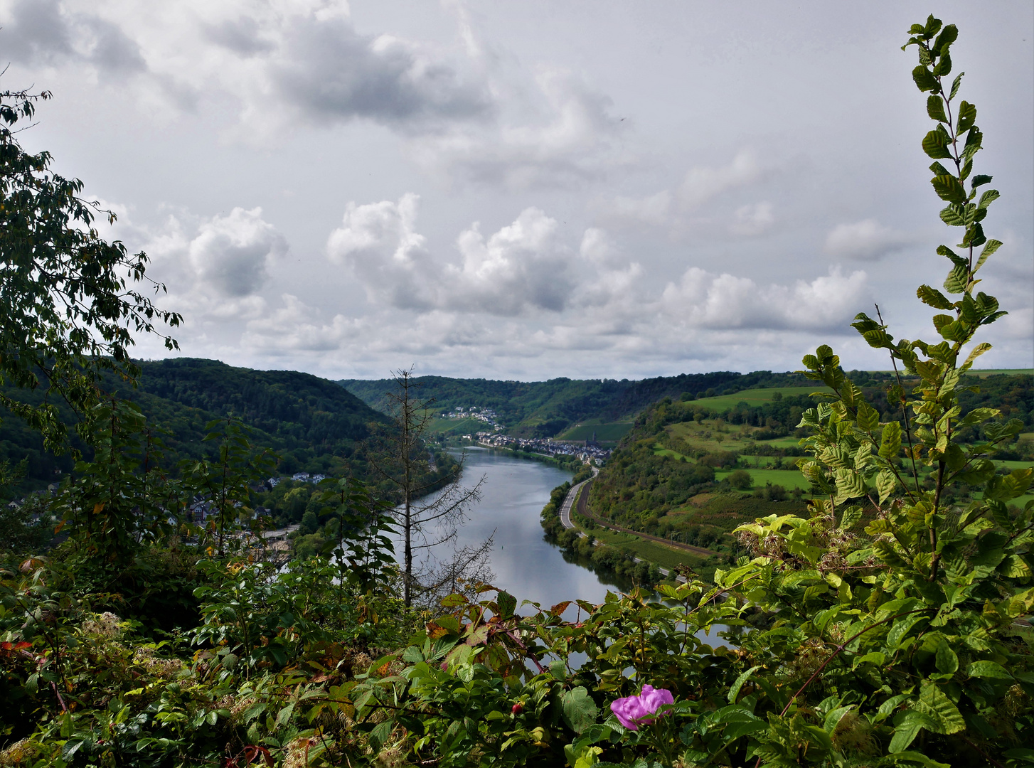 Kurzurlaub 2021 - Das Moseltal mit Brodenbach und Hatzenport