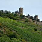 Kurzurlaub an der Mosel 2021 - Burg Thurant über dem Ort Alken
