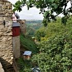 Kurzurlaub an Der Mosel 2021 - Die Ehrenburg bei Brodenbach mit Blick ins Tal (2)