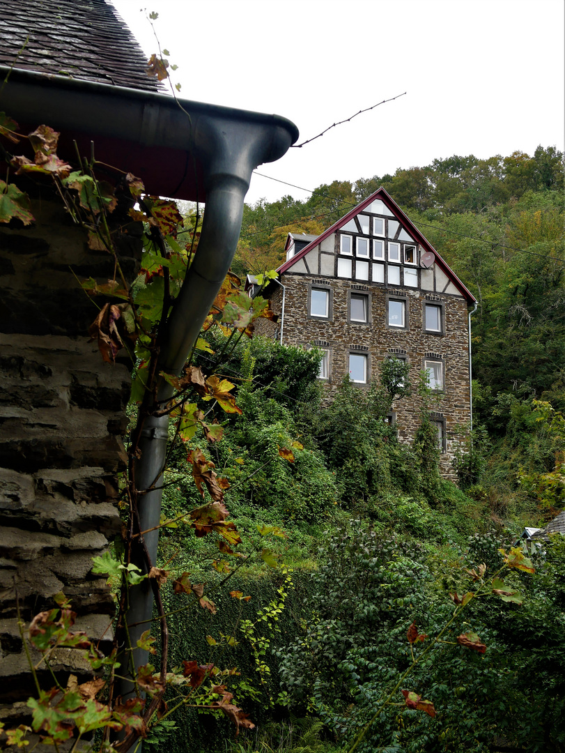 Kurzurlaub an der Mosel 2021 - Kattenes, Tal der 13 Mühlen (4)