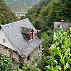 Kurzurlaub an der Mosel 2021 - Kattenes, Tal der 13 Mühlen (6)