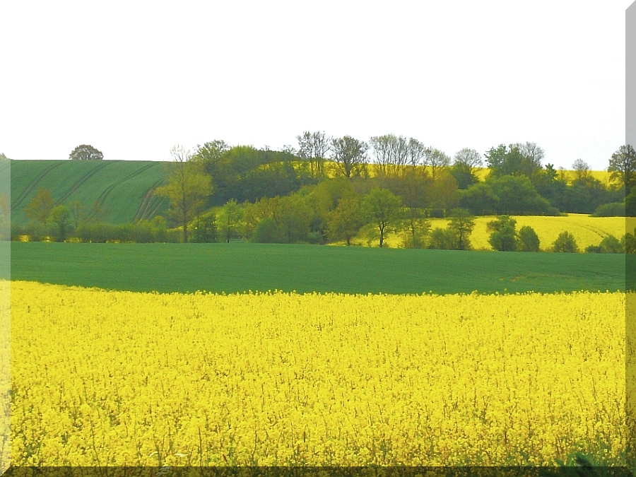 Kurzurlaub an der Ostsee - vor Schleswig