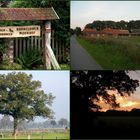 Kurzurlaub auf einem Pferdehof in Brokeloh bei Nienburg.