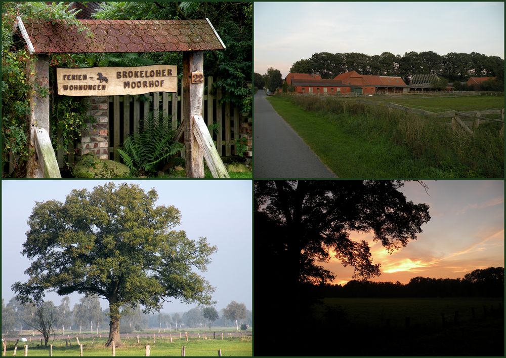 Kurzurlaub auf einem Pferdehof in Brokeloh bei Nienburg.