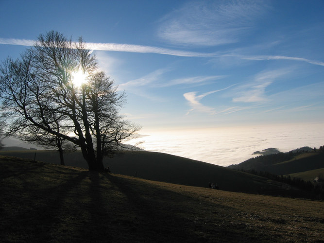 Kurzurlaub über dem Nebel