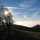 Kurzurlaub über dem Nebel