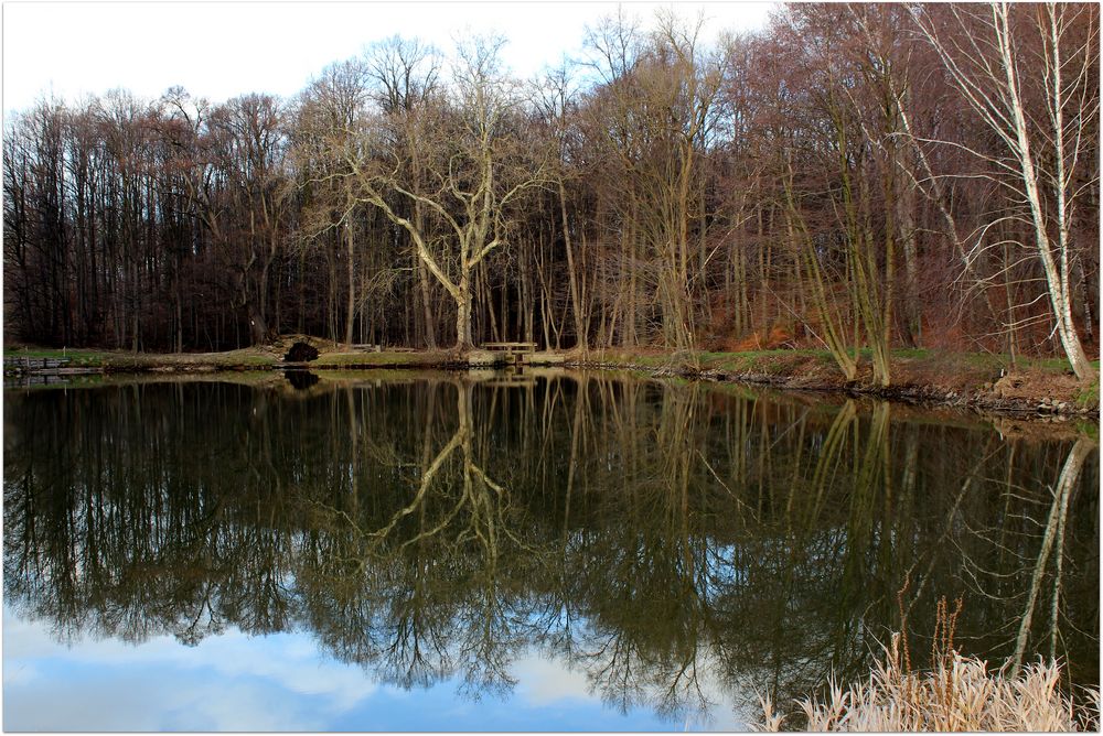 Kurzwanderung in Lauske bei Weißenberg