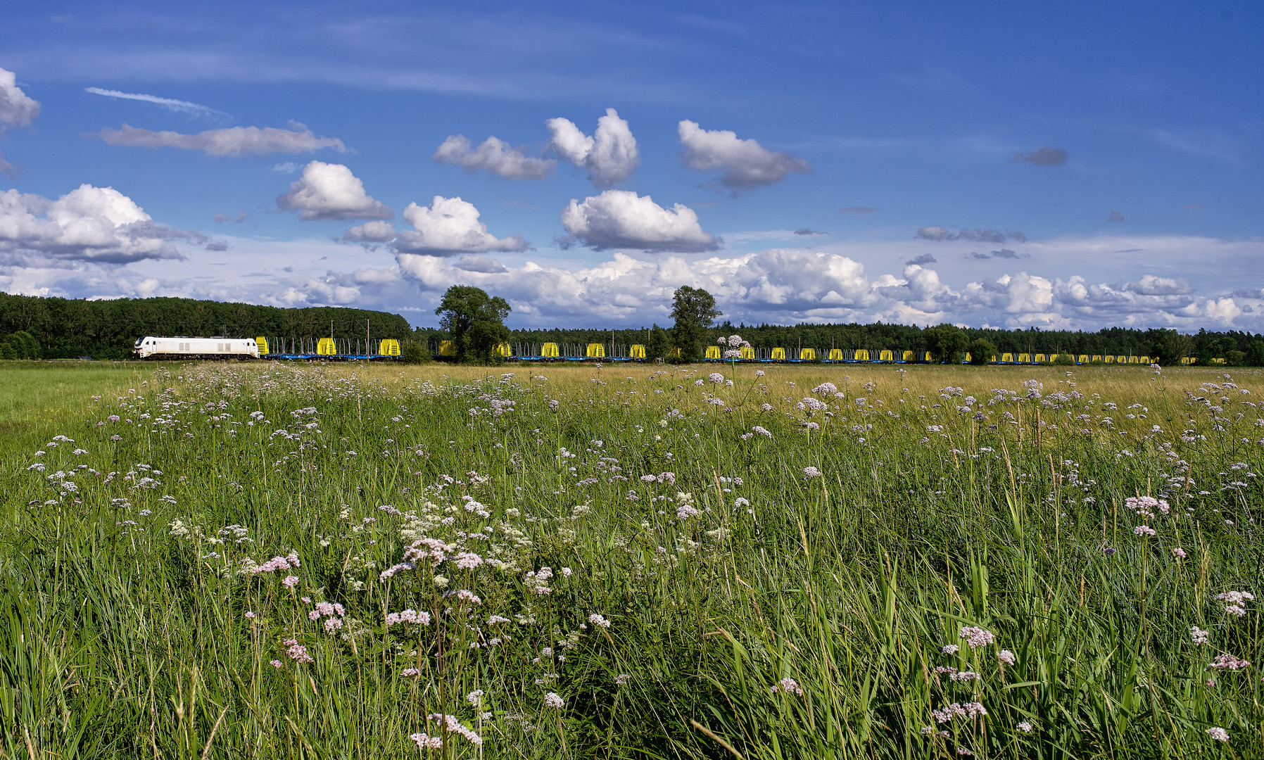 Kurzweiliges Wiesmet