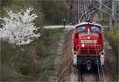 Kurzzeitig ausrangierter Frühling