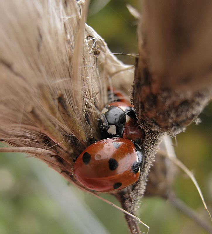 Kuschelecke