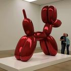 kuschelig bei koons