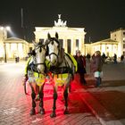 Kuscheln am Brandenburger Tor