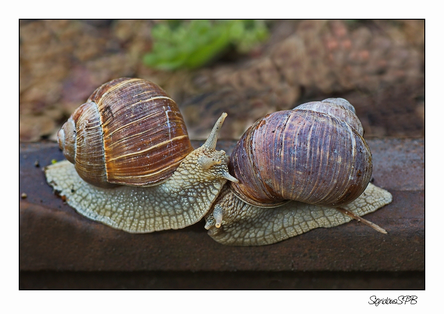 Kuscheln auf dem Abstellgleis...:-))