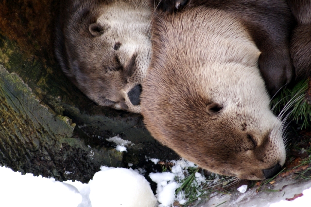 kuscheln bei dem Wetter ein muss !