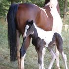 kuscheln bei Mama