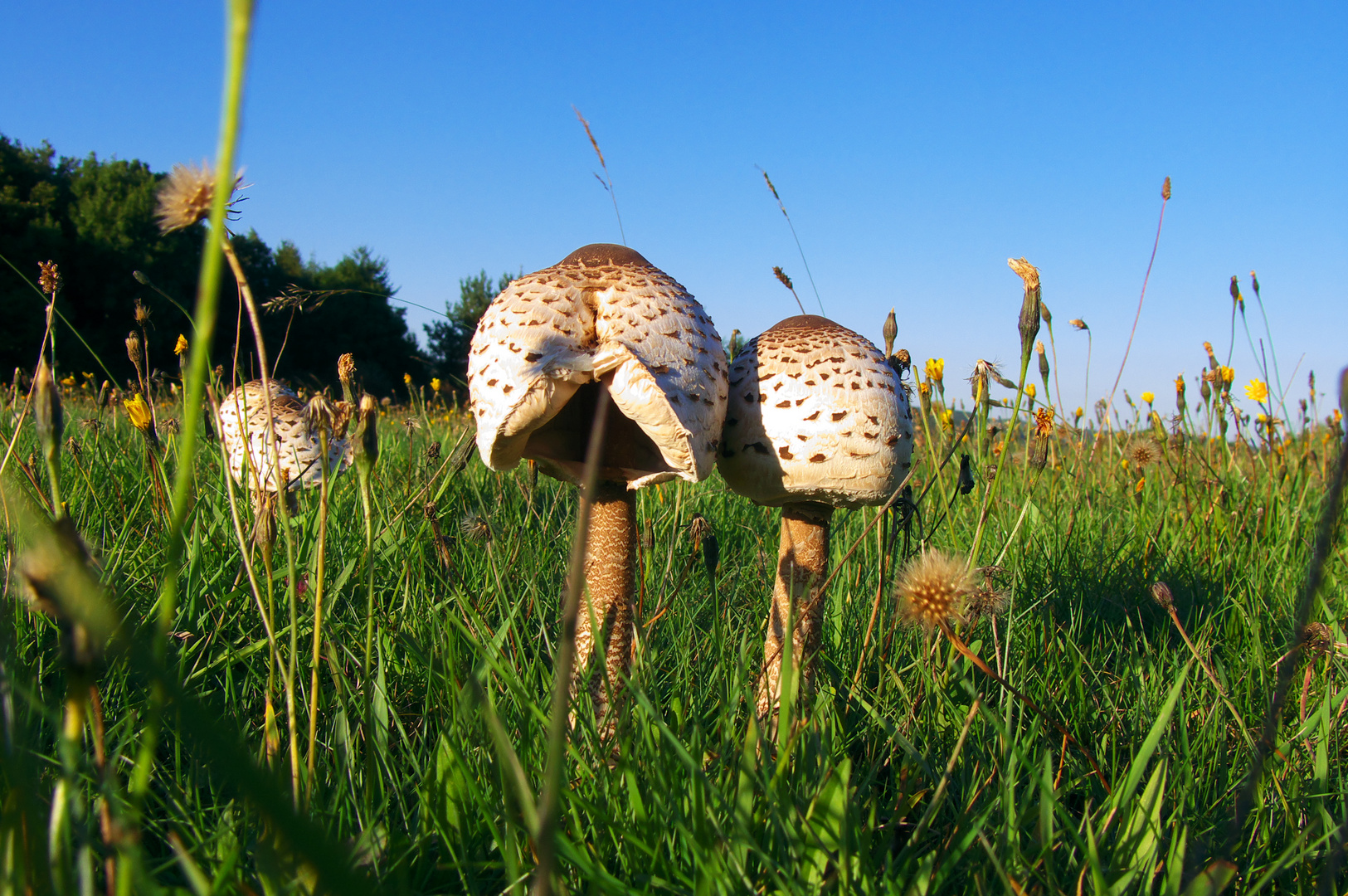 Kuscheln in der Abendsonne