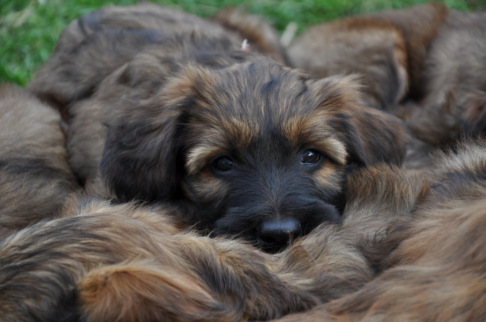 Kuscheln ist angesagt