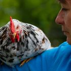 Kuscheln mit Hahn