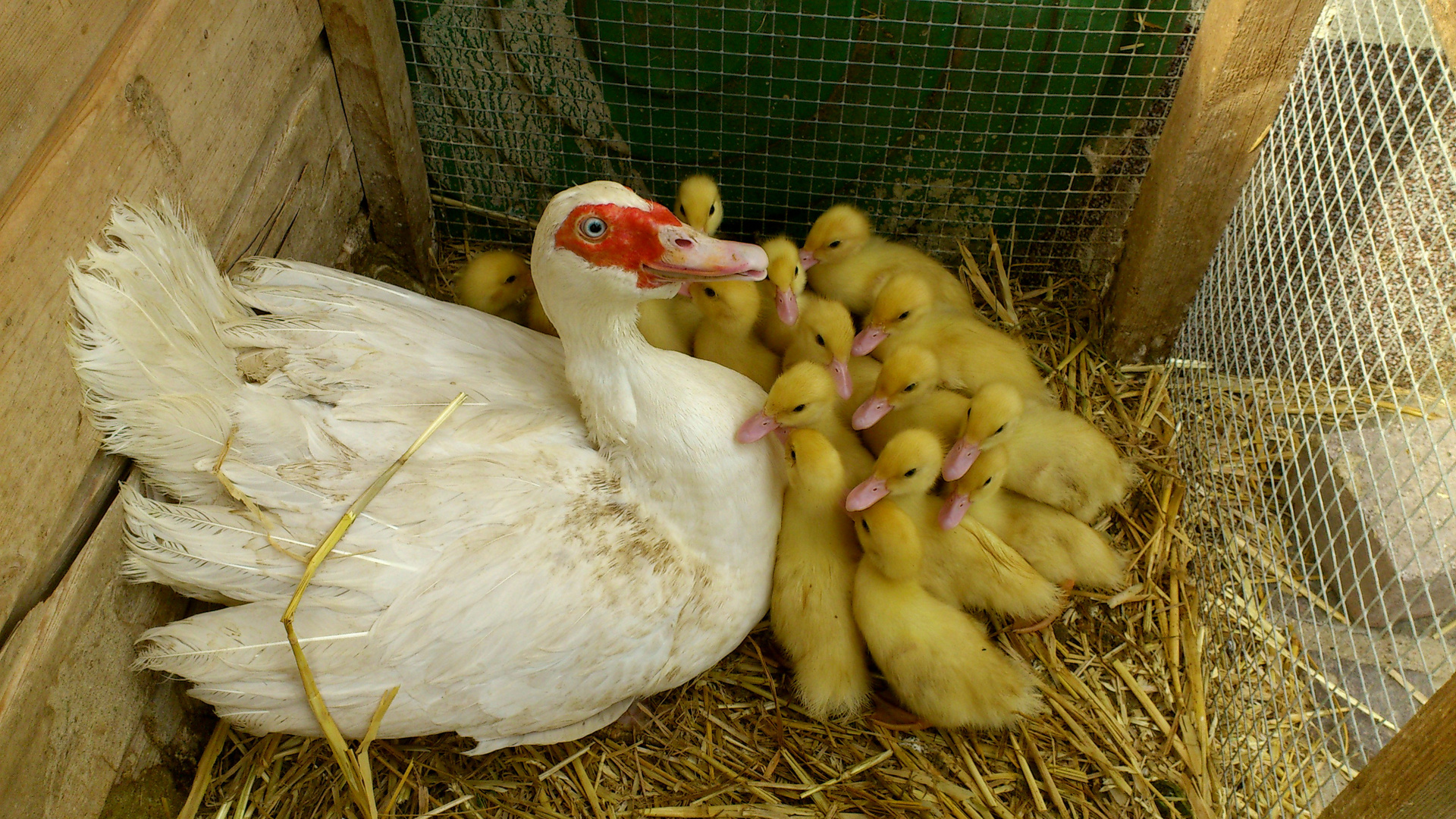 Kuscheln mit Mama