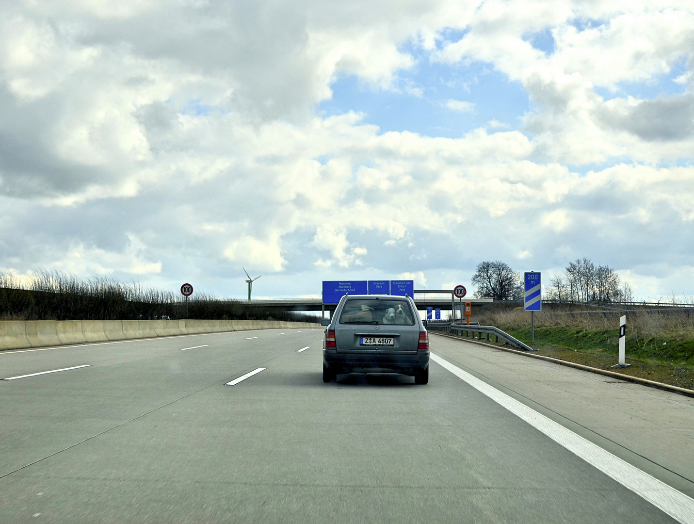 Kuschelnde Hunde auf der Autobahn