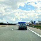 Kuschelnde Hunde auf der Autobahn