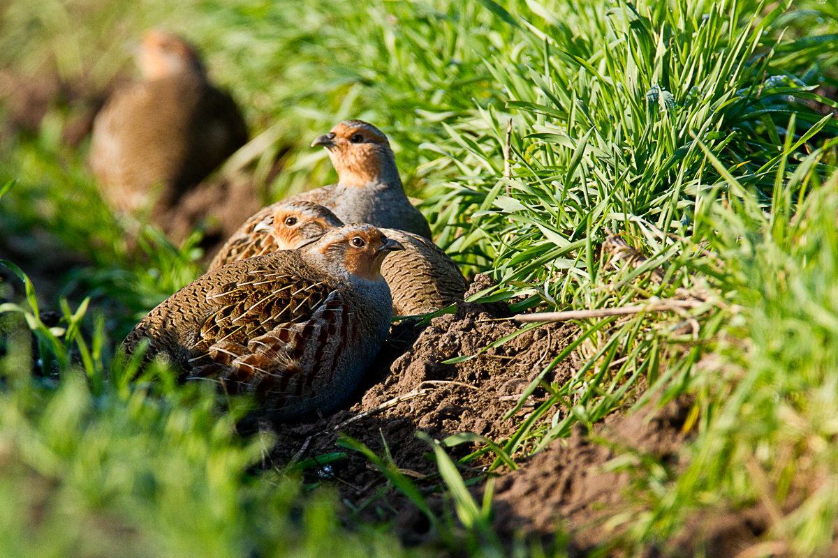 Kuschelrunde