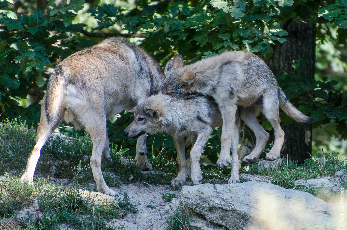 Kuschelrunde