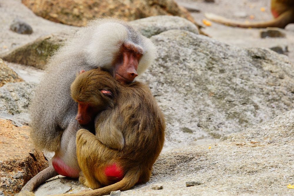 Kuschelstunde