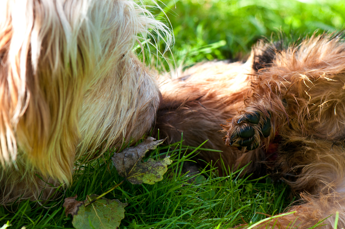 Kuschelstunde