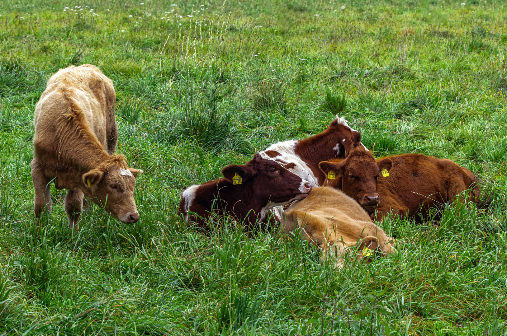 Kuschelstunde..