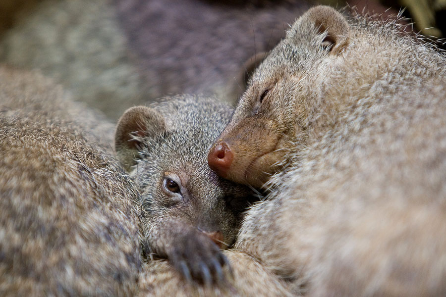 Kuschelstunde ;-)