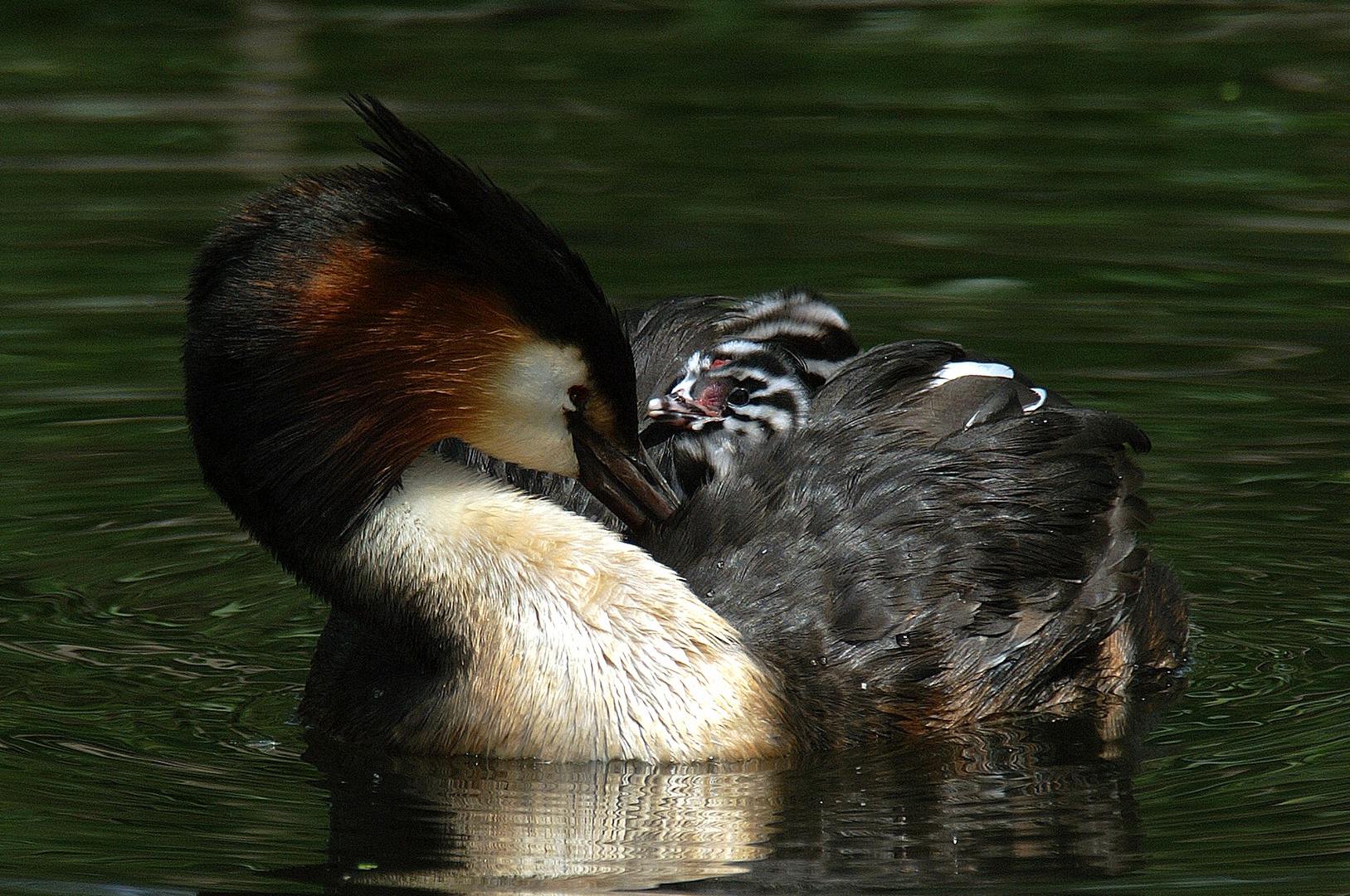 Kuschelstunde