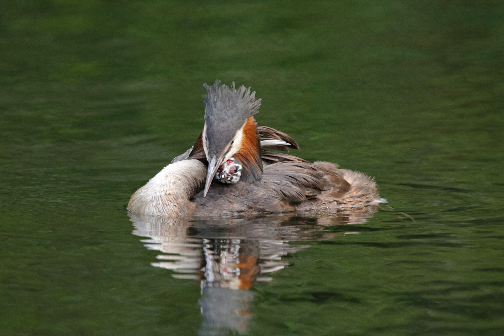 Kuschelstunde