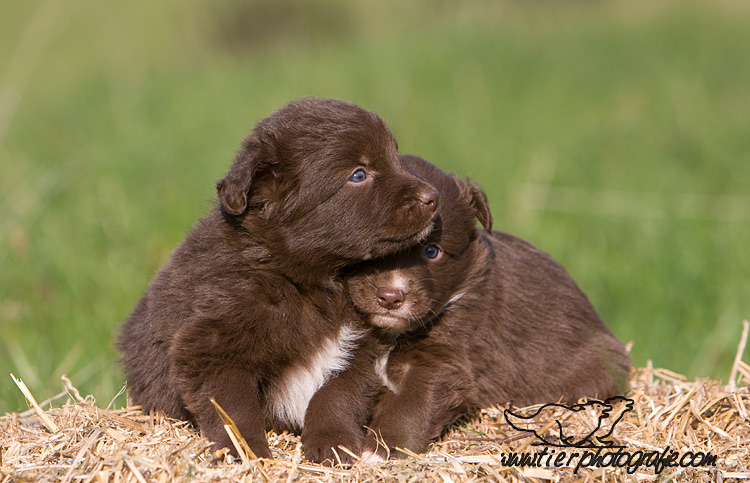 Kuschelstunde