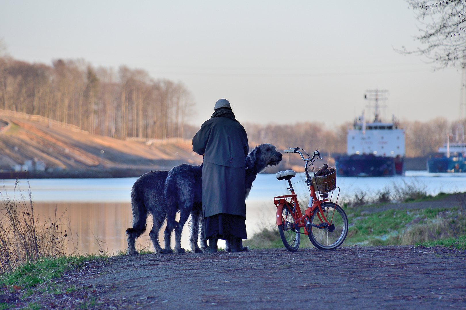 Kuscheltiere in XXL