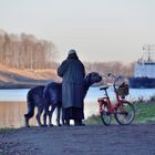 Kuscheltiere in XXL