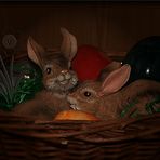 Kuschelwetter zu Ostern!