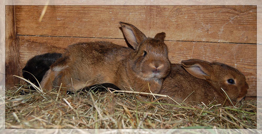 Kuschelzeit...