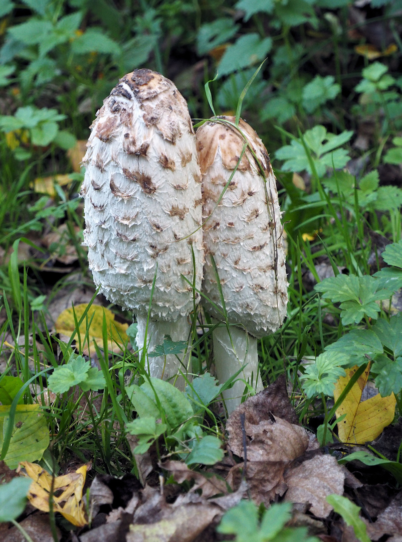 Kuschelzeit