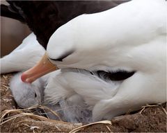 Kuschelzeit